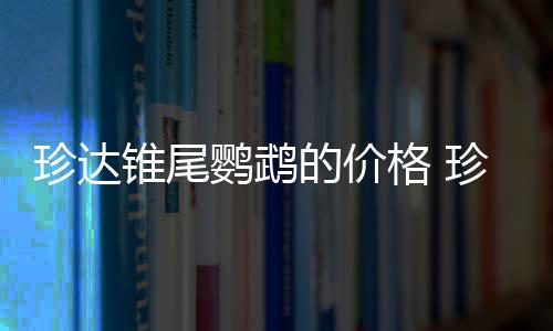 珍达锥尾鹦鹉的价格 珍达锥尾鹦鹉的饲养方法