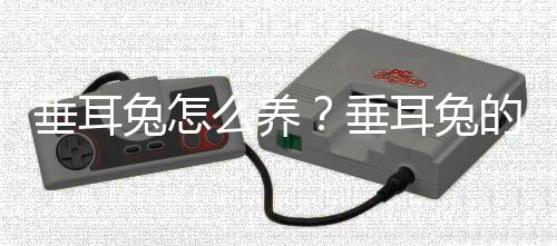 垂耳兔怎么养？垂耳兔的产地