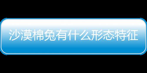 沙漠棉兔有什么形态特征？