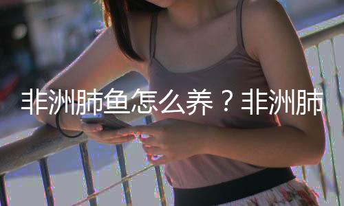 非洲肺鱼怎么养？非洲肺鱼的生存环境