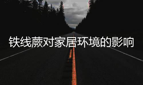 铁线蕨对家居环境的影响