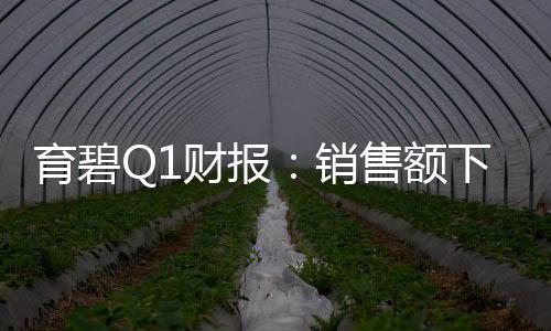 育碧Q1财报：销售额下降9% 但业绩“好于预期”