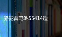 骆驼蓄电池55414适配桑塔纳2000老捷达汽车电瓶54AH 以旧换新